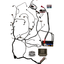 Load image into Gallery viewer, Nissan Patrol to LS1 Conversion Plug In Harness GU S1-3 Y61
